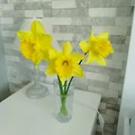 Aпартамент 5 *