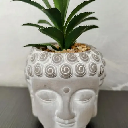 Aпартамент 5 דירה וארנה