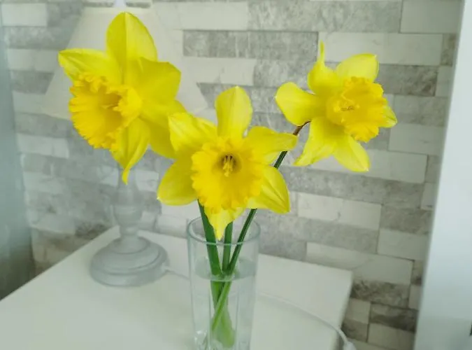 Aпартамент 5 *